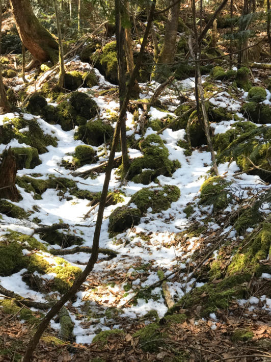 f0234023_20105494.jpg
