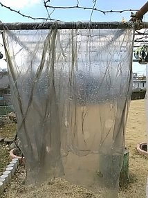 f0354923_15220036.jpg