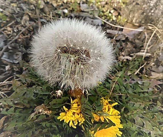 f0354923_15221340.jpg