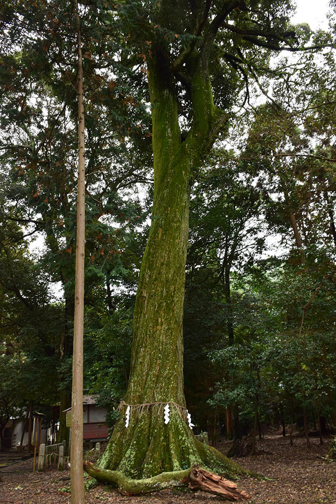 e0158128_17463589.jpg