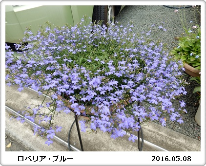 e0033229_18341227.jpg