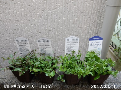 e0033229_18374245.jpg