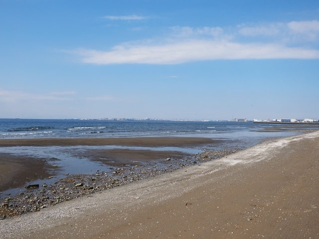 c0117831_20413111.jpg