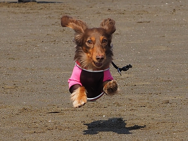 c0117831_20423143.jpg