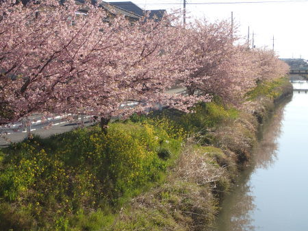 c0353632_11240403.jpg