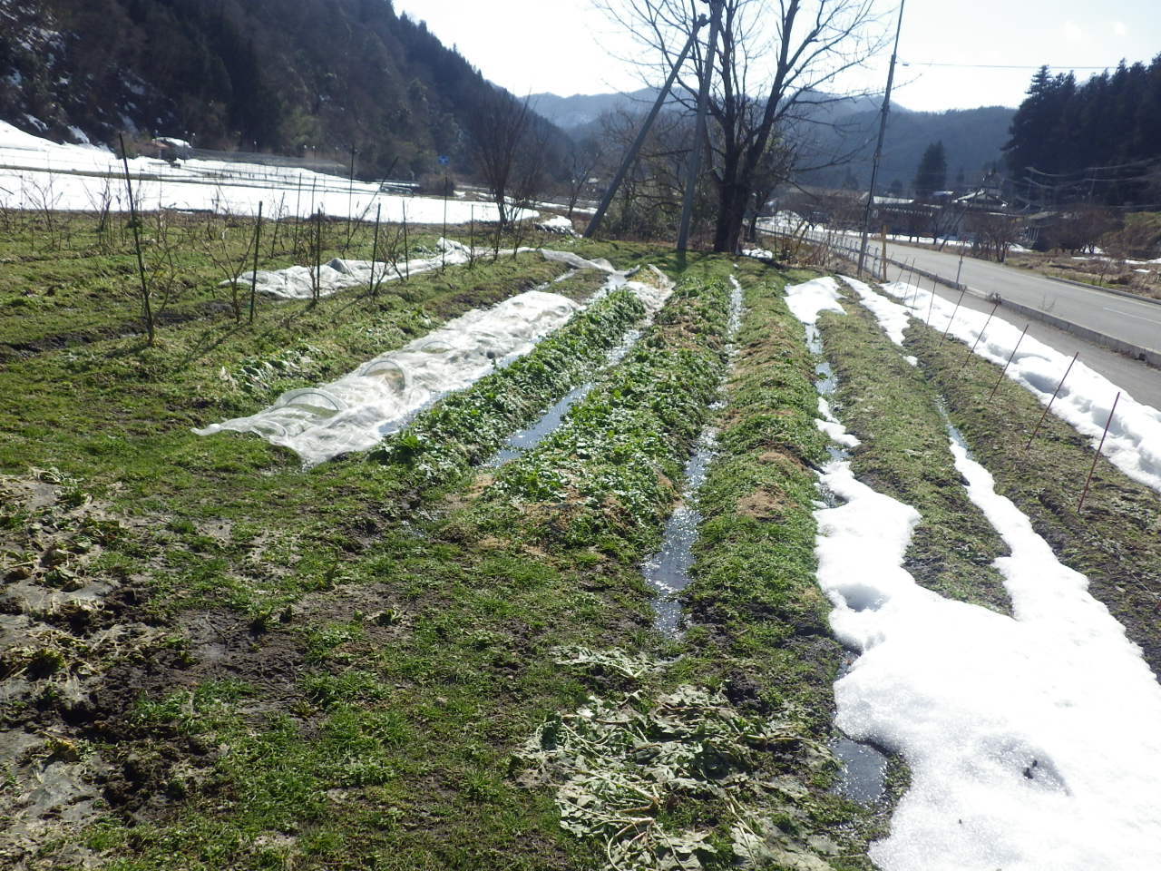 c0300035_16204579.jpg
