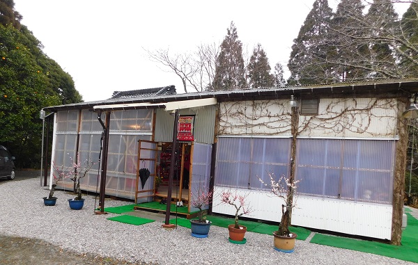 f0042737_101665.jpg