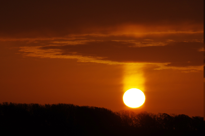 b0247838_2031404.jpg