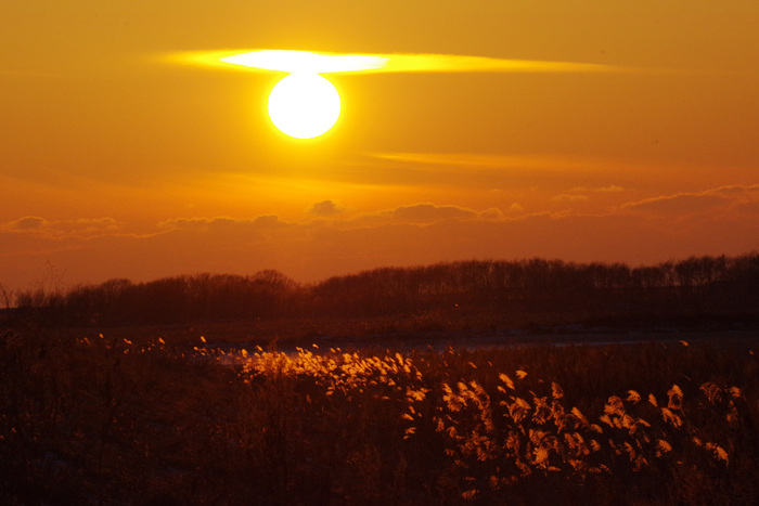 b0247838_2034282.jpg