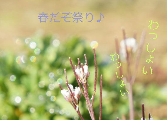 f0368538_10482891.jpg