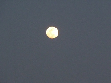 a0297743_21092520.jpg