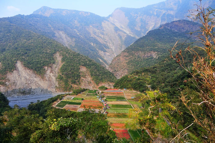 d0149245_22243670.jpg