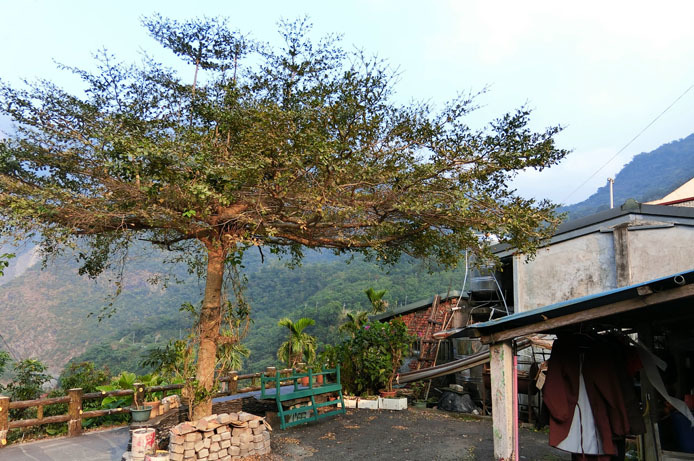 d0149245_22465365.jpg