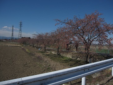 e0011145_17012406.jpg
