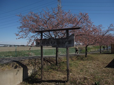 e0011145_17015387.jpg