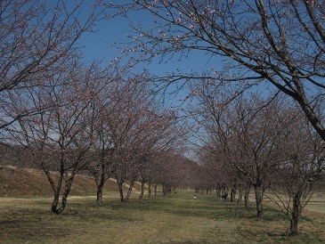 e0011145_17032825.jpg