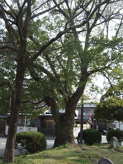 f0017848_18350892.jpg