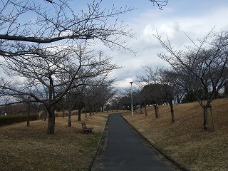 f0017848_18362756.jpg