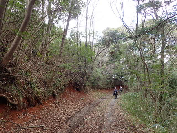 f0214649_19543339.jpg