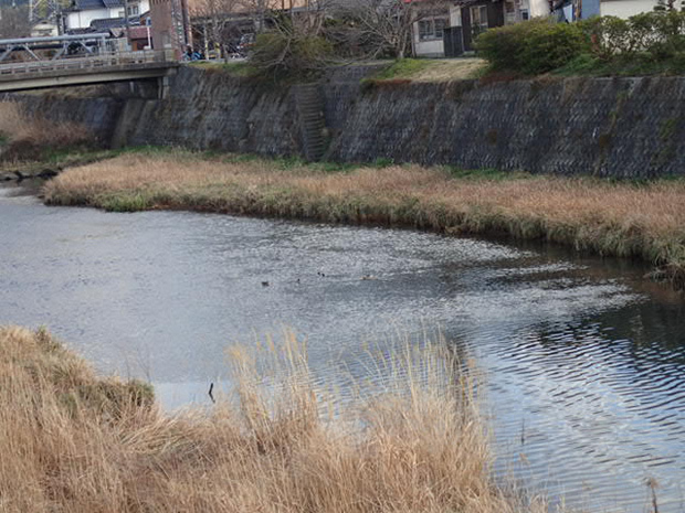 f0214649_20065202.jpg