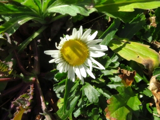 a0018655_16431659.jpg