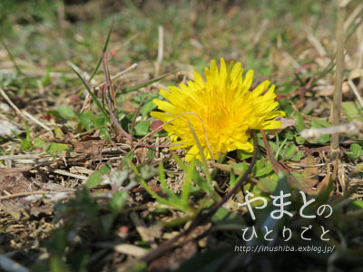 a0286855_06275845.jpg