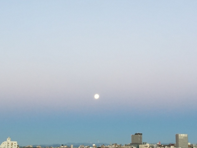c0326156_12243773.jpg