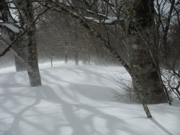 c0294658_19410600.jpg