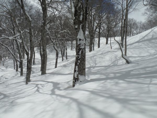c0294658_20000885.jpg
