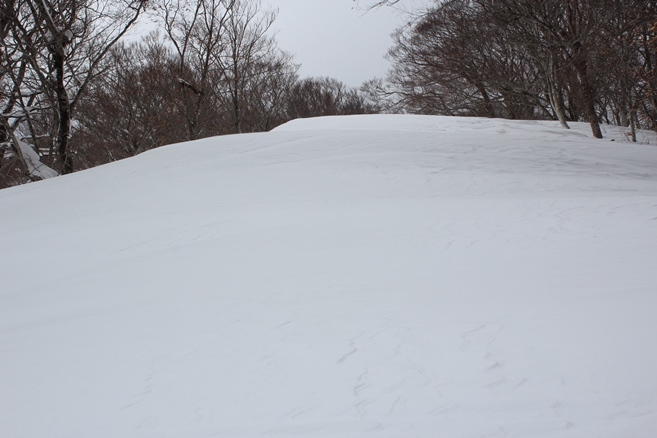 e0239458_16394793.jpg