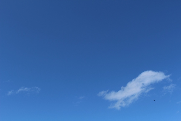 d0355259_14384365.jpg