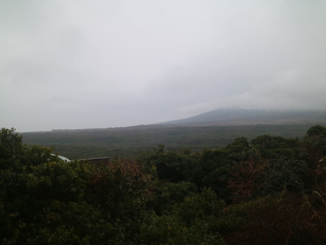 f0345263_22571493.jpg