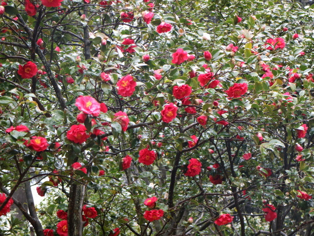 f0345263_23082223.jpg