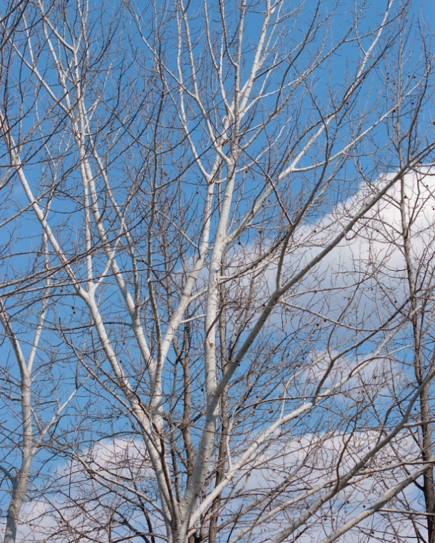 c0305565_18093430.jpg