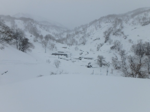 b0050067_22220643.jpg