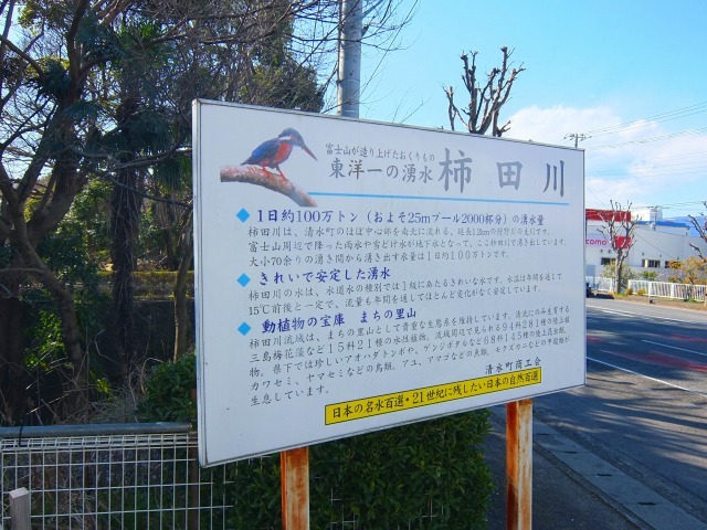 e0078069_17492786.jpg