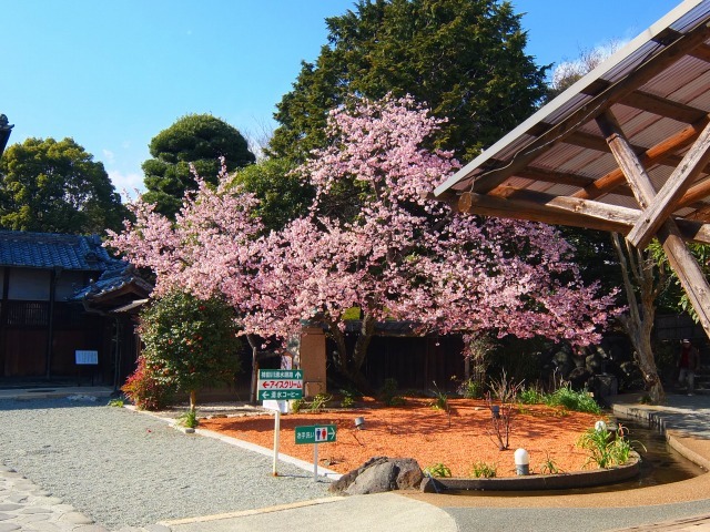 e0078069_17493409.jpg