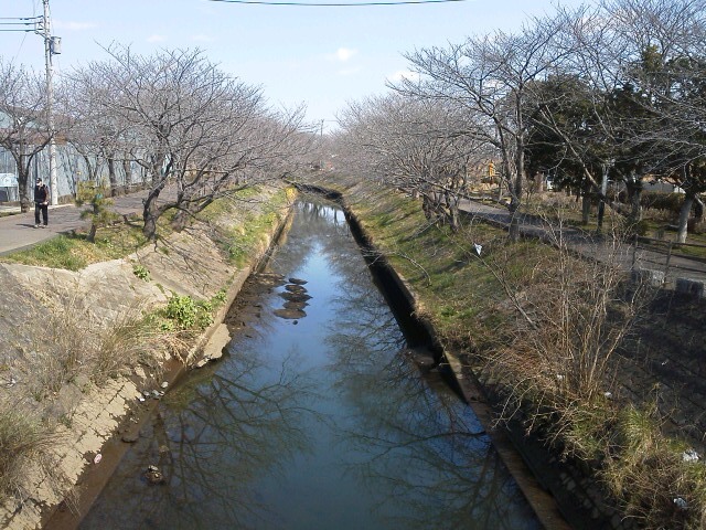b0155973_13022870.jpg