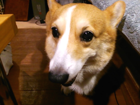 f0000673_0184675.jpg