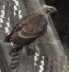 d0020180_848223.jpg