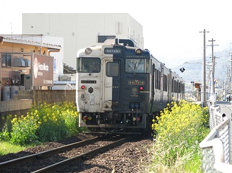 e0130185_1158301.jpg