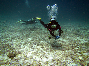 f0144385_20512235.jpg