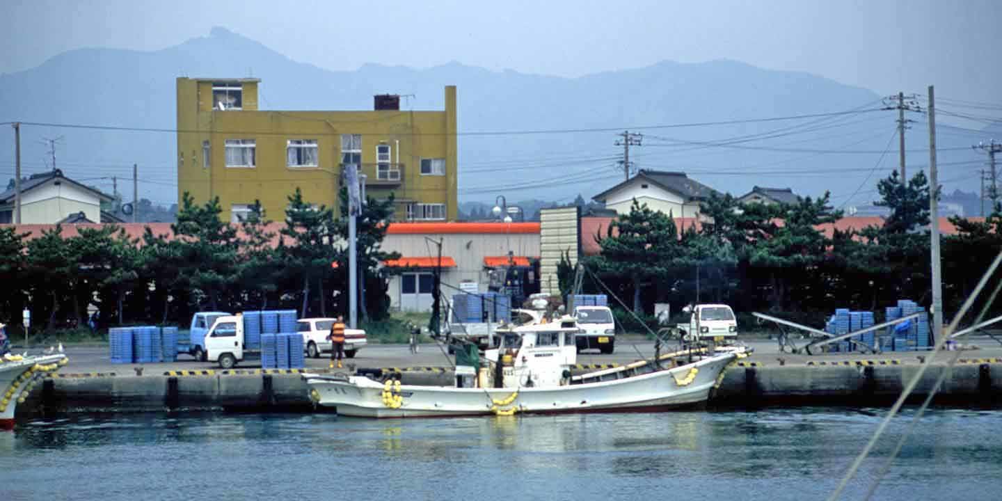 c0170789_10480802.jpg