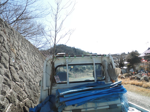 c0108198_16268.jpg