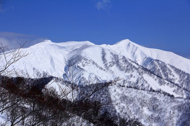 e0137200_20313761.jpg