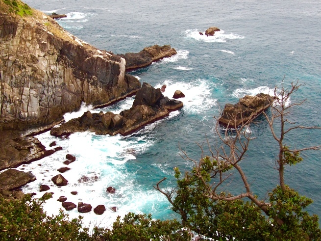 c0362401_20370367.jpg