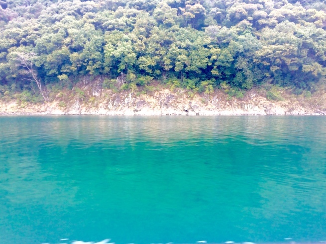 c0362401_20380150.jpg