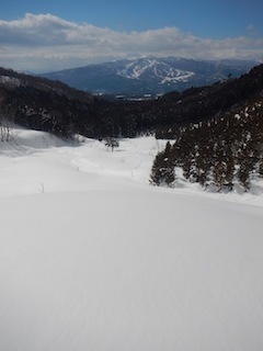 c0359615_20580513.jpg
