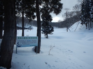 c0359615_20583219.jpg