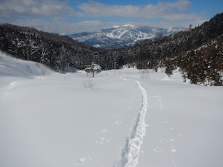 c0359615_20591067.jpg